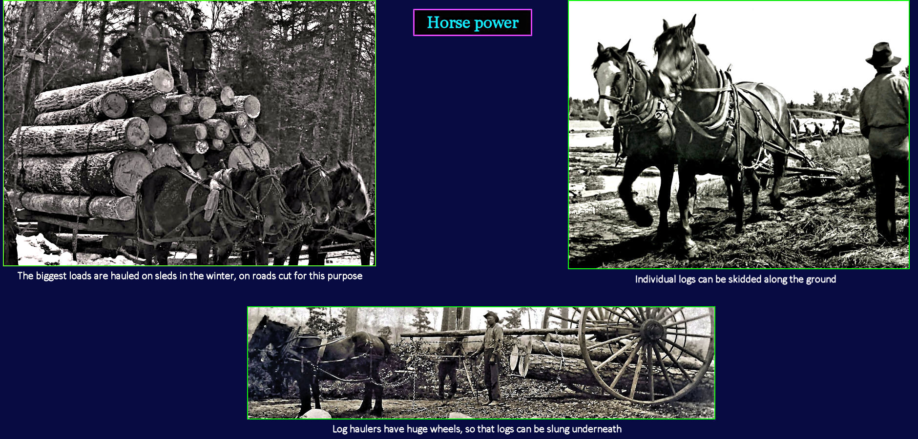 Hauling Wood, by horse, 1910